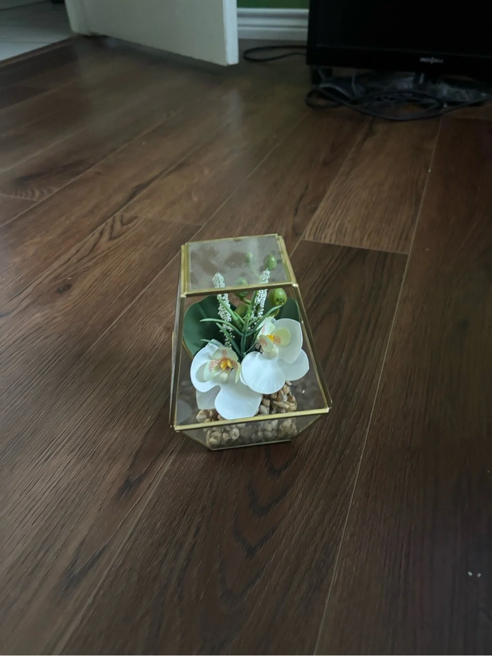 Gold Glass Geometric Terrarium with White Orchid Accent